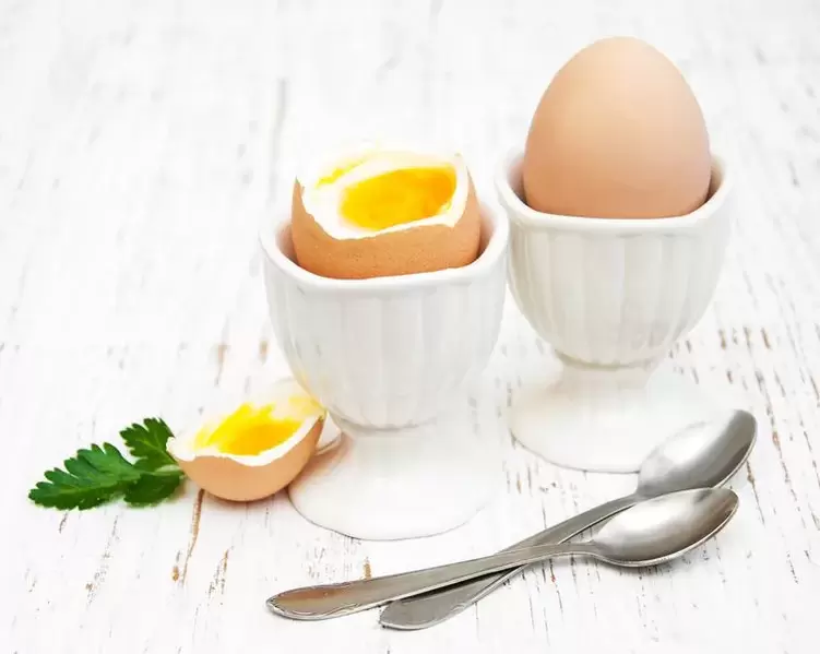 soft-boiled eggs for egg feeding